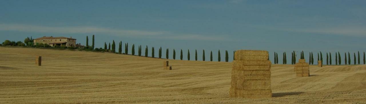 La Casa Del Susino Villa Castiglione dʼOrcia Kültér fotó