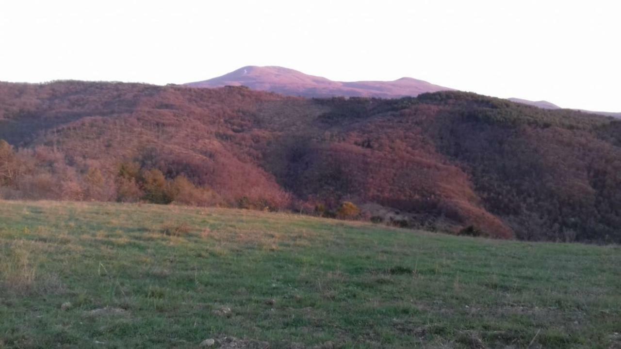 La Casa Del Susino Villa Castiglione dʼOrcia Kültér fotó